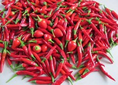 红色食物帮助女性延缓