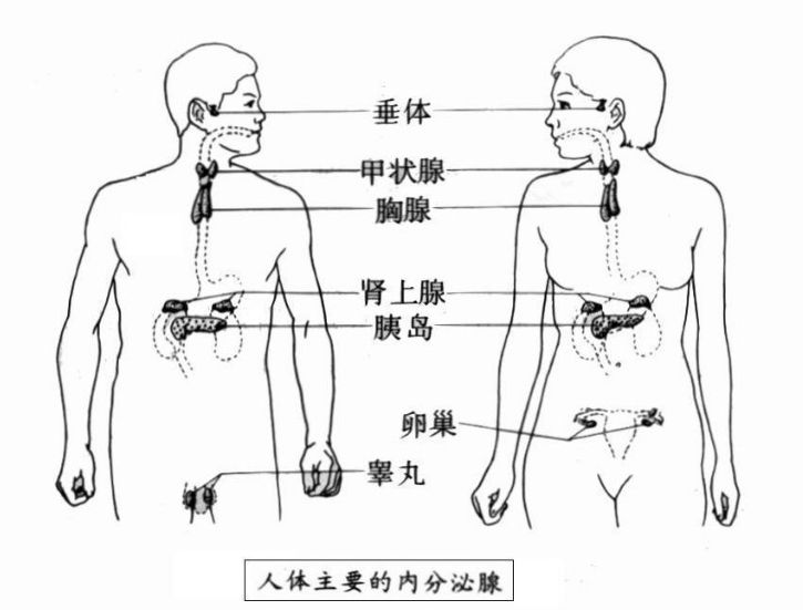 点击图片进入下一页