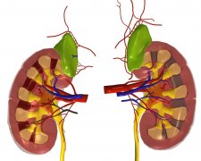 警惕伤害肾脏的8个坏